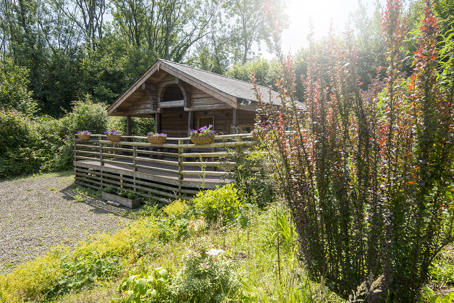 Pwll Cabin - Holiday Cottage in Pembrokeshire