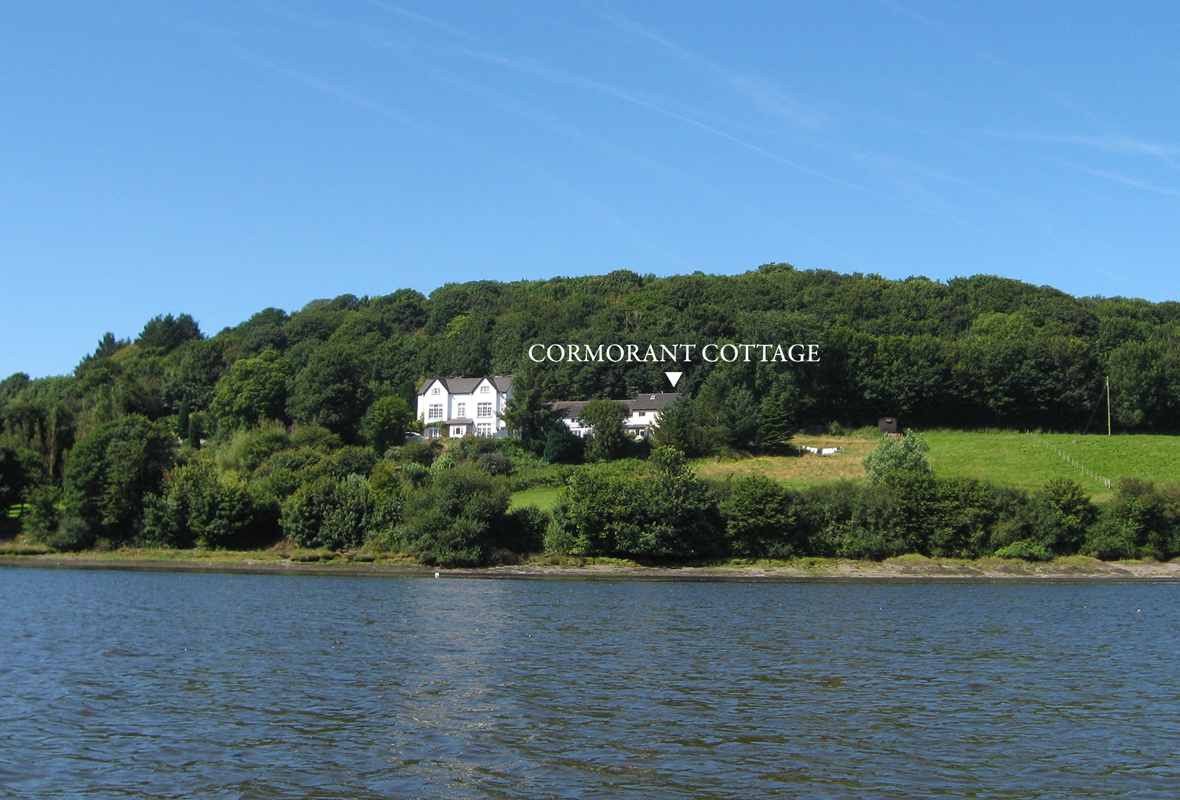 Cormorant Cottage - 4 Star Holiday home - St Dogmaels, Pembrokeshire, Wales